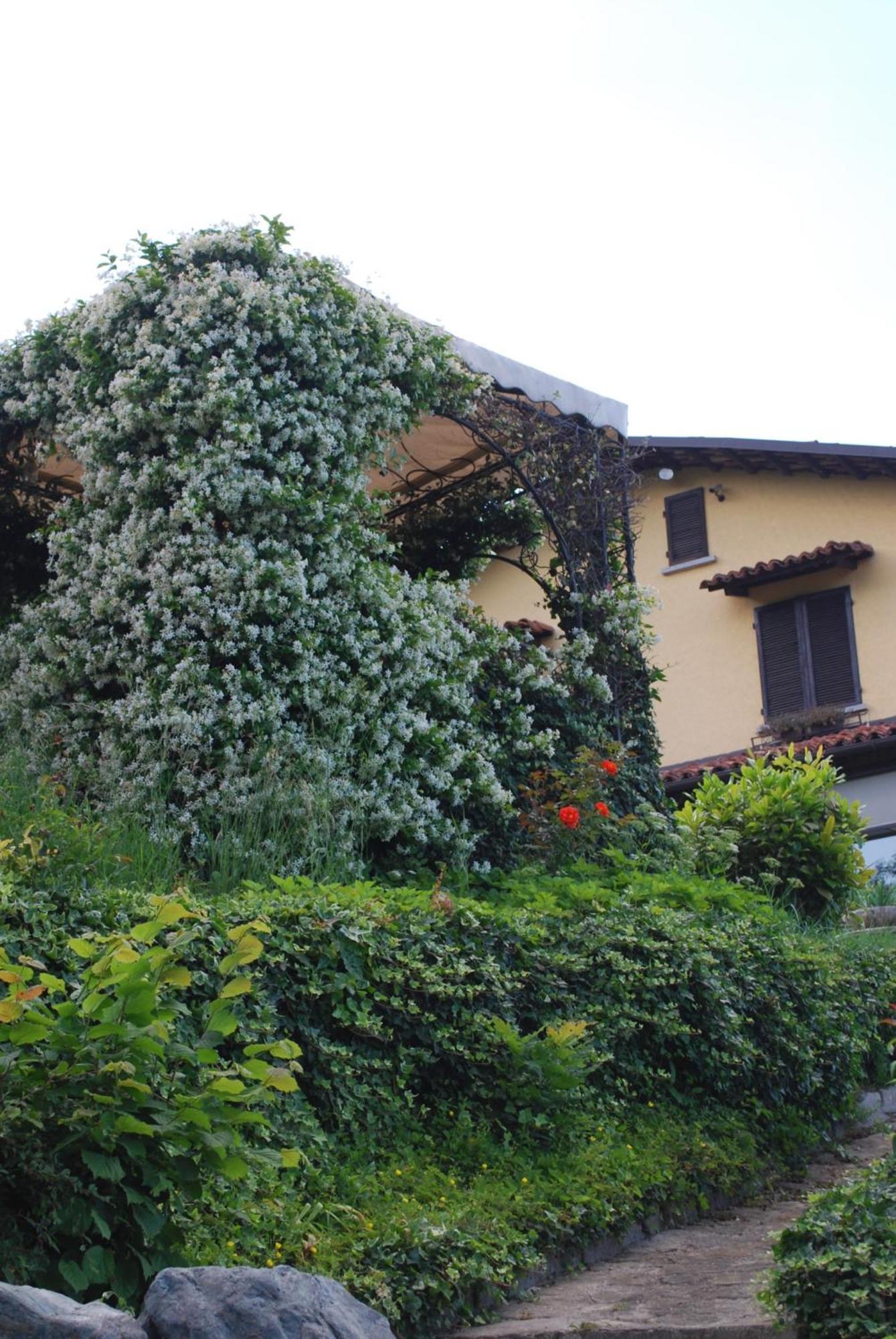 B&B Casa Margot Neive Exterior photo